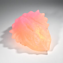 Load image into Gallery viewer, C2TFN85 Calypso Small NC 0031 UV CS