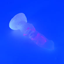 Load image into Gallery viewer, 62THQ30 Hellion Small NC 0031 UV CS