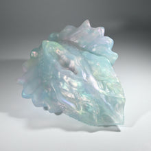 Load image into Gallery viewer, C4TFQ64 Calypso Large NC 0031 CS