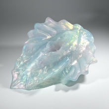 Load image into Gallery viewer, C4TFQ64 Calypso Large NC 0031 CS