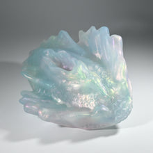 Load image into Gallery viewer, C4TFQ64 Calypso Large NC 0031 CS