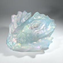 Load image into Gallery viewer, C4TFQ64 Calypso Large NC 0031 CS