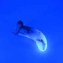 Load image into Gallery viewer, G2THT55 Ignis Small NC 0031 UV CS