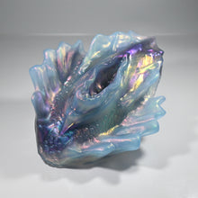 Load image into Gallery viewer, C4TDQ31 Calypso Large NC 0031 CS