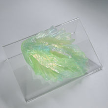 Load image into Gallery viewer, C2THV11 Calypso Small NC 0031 UV CS