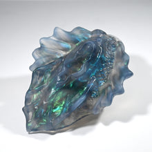 Load image into Gallery viewer, C2TDR82 Calypso Small NC 0031 CS