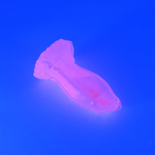 Load image into Gallery viewer, 82THU84 Hue Small NC 0031 UV CS