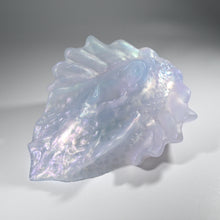 Load image into Gallery viewer, C4TFT89 Calypso Large NC 0031 CS