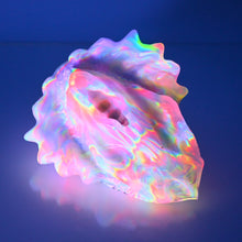 Load image into Gallery viewer, C4TDT12 Calypso Large NC 0031 UV CS