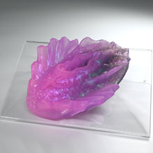 Load image into Gallery viewer, C2TGW32 Calypso Small NC 0031 UV CS