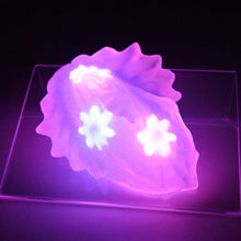 Load image into Gallery viewer, C2TGW34 Calypso Small NC 0031 UV GITD CS