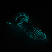 Load image into Gallery viewer, X3SKA52 Shin Medium 0030 UV GITD