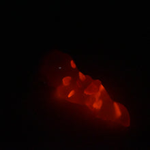 Load image into Gallery viewer, N3TJZ82 Nereid Medium NC 0031 UV GITD CS