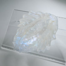 Load image into Gallery viewer, C2TGX92 Calypso Small NC 0031 CS