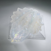 Load image into Gallery viewer, C4TGX97 Calypso Large NC 0031 CS