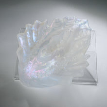 Load image into Gallery viewer, C4TGX97 Calypso Large NC 0031 CS