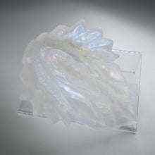 Load image into Gallery viewer, C4TGX97 Calypso Large NC 0031 CS