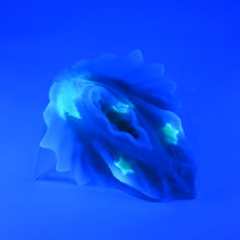 Load image into Gallery viewer, C4TGX98 Calypso Large NC 0031 UV GITD CS