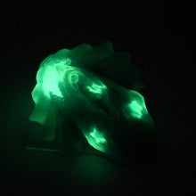 Load image into Gallery viewer, C4TGX98 Calypso Large NC 0031 UV GITD CS