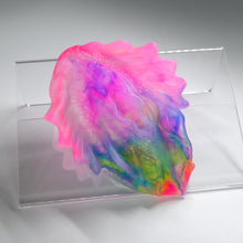 Load image into Gallery viewer, C2TGZ52 Calypso Small NC 0031 UV CS