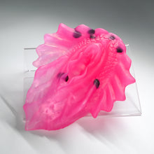 Load image into Gallery viewer, C4TGZ53 Calypso Large NC 0031 CS