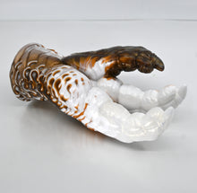 Load image into Gallery viewer, L2SEY84 Altair Small 0030