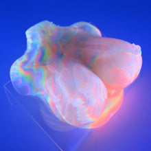 Load image into Gallery viewer, D2TGZ54 Celeste Small NC 0031 UV CS