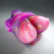 Load image into Gallery viewer, D4TGZ56 Celeste Large NC 0031 UV CS