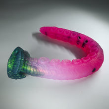 Load image into Gallery viewer, E4TGZ61 Illex Large NC 0031 CS