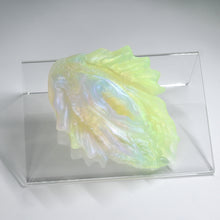 Load image into Gallery viewer, C2THA96 Calypso Small NC 0031 UV CS