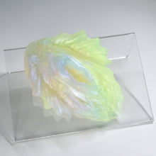 Load image into Gallery viewer, C2THA96 Calypso Small NC 0031 UV CS