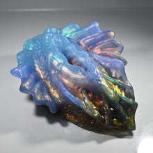 Load image into Gallery viewer, C4TDX87 Calypso Large NC 0031 UV CS