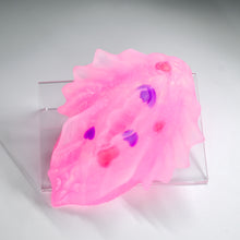 Load image into Gallery viewer, C4THA99 Calypso Large NC 0031 UV GITD CS