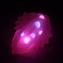 Load image into Gallery viewer, C4THA99 Calypso Large NC 0031 UV GITD CS