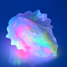 Load image into Gallery viewer, C2TDZ21 Calypso Small NC 0031 UV CS