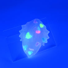 Load image into Gallery viewer, C2THF32 Calypso Small NC 0031 UV GITD