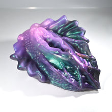 Load image into Gallery viewer, C4TFF33 Calypso Large NC 0031 UV