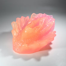 Load image into Gallery viewer, C4TGG65 Calypso Large NC 0031 UV CS