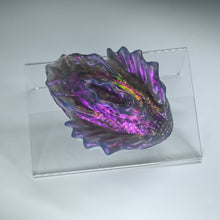 Load image into Gallery viewer, C2TJL44 Calypso Small NC 0031 CS