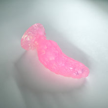 Load image into Gallery viewer, B2THG77 Flora Small NC 0031 UV CS