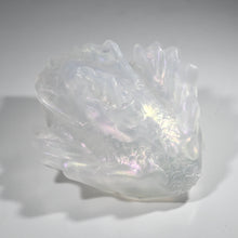 Load image into Gallery viewer, C2TFH27 Calypso Small NC 0031 CS