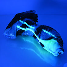 Load image into Gallery viewer, X3MEF51 Shin Medium 0050 UV GITD CS