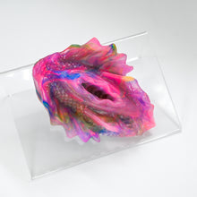 Load image into Gallery viewer, C2THK50 Calypso Small NC 0031 UV CS