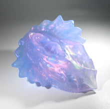 Load image into Gallery viewer, C4TGK53 Calypso Large NC 0031 UV CS