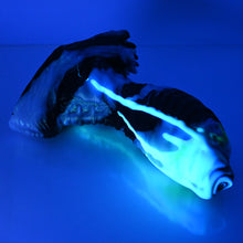 Load image into Gallery viewer, X3SEH43 Shin Medium 0030 UV GITD CS