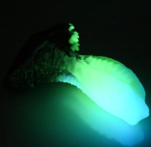 Load image into Gallery viewer, X3XEK43 Shin Medium 0020 UV GITD