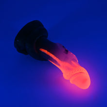 Load image into Gallery viewer, 33THN60u Celia Medium NC 0031 UV CS GHU