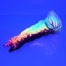 Load image into Gallery viewer, V2SBP32 Snark's Maw Small 0030 UV GITD