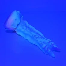 Load image into Gallery viewer, V2MBP24 Snark's Maw Small 0050 UV GITD
