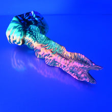 Load image into Gallery viewer, V2SBR61 Snark's Maw Small 0030 UV GITD